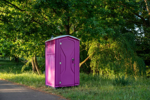 Best Affordable portable toilet rental  in Tichigan, WI